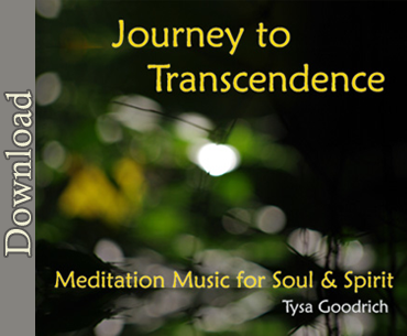 Journey to Transcendence              (Download)