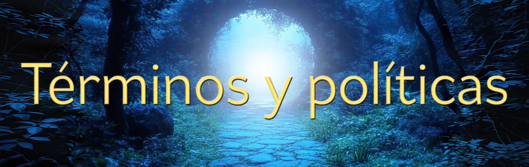 Términos y políticas